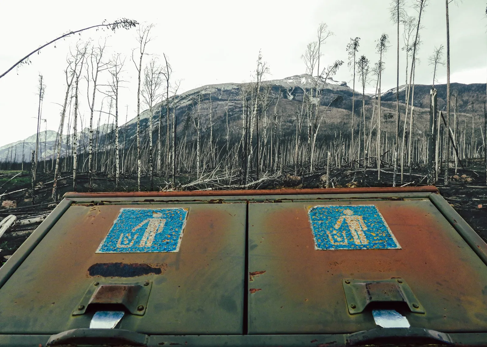 Una señal de sendero dañada por el fuego, junto a una roca y el bosque calcinado.
